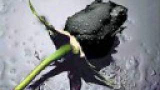 The Unknown - Crossfade