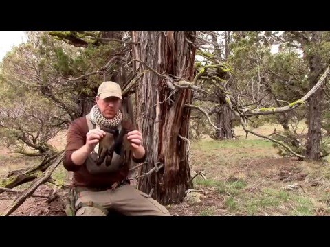 Coyote Works Gear Picks - Mechanix Wear Tactical Gloves - Camping Survival Bushcraft Outdoors
