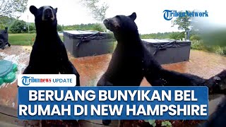 Ada Beruang Bunyikan Bel Pintu, Pemilik Rumah Akui Tak Kaget tapi Malah Terhibur: Setidaknya Sopan