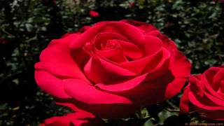 PABLO ABRAIRA - ENCADENADO (VIDEO OFICIAL)