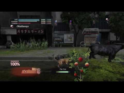 TOKYO JUNGLE: WOLF VS DOG VS CAT VS BUFFALO