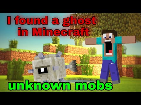 minecraft unknown mobs I found a ghost in Minecraft