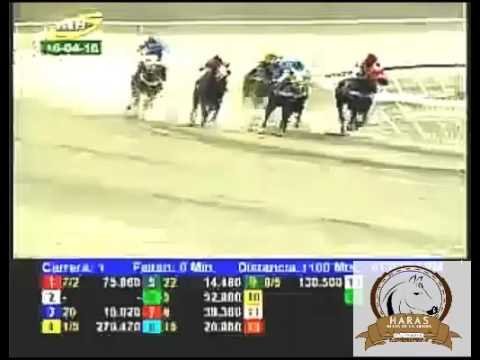 LA RINCONADA 1 CARRERA, SABADO 16 DE ABRIL DEL 2016