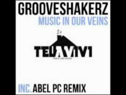 Grooveshakerz - Music In Our Veins (Abel Pc Remix)