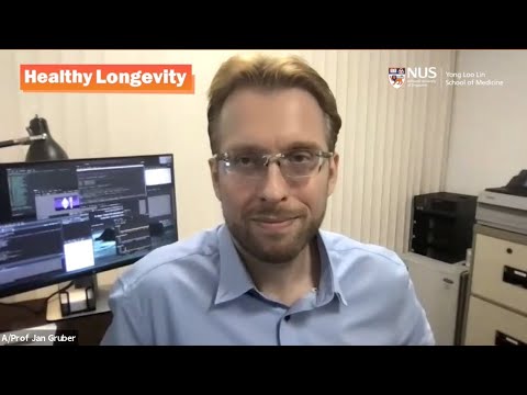 What have worms ever done for you? Insights into ageing from C. elegans | Assoc Prof Jan Gruber