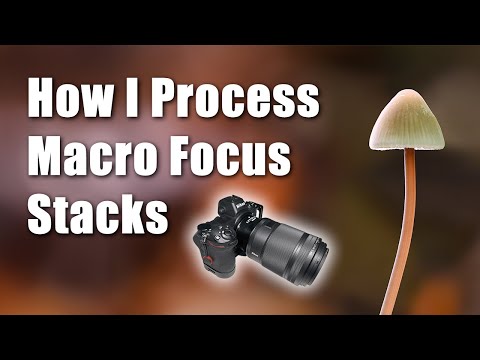 How I post-process my macro photography focus stacks