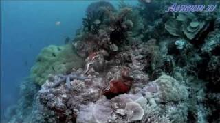 Aquatic dance - Vangelis Papathanasiou ☆ ☆ ☆