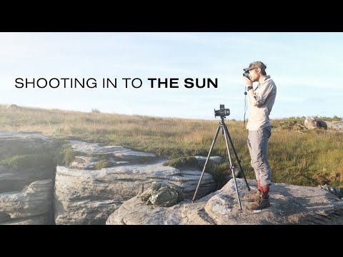 Shooting Straight in to the Sun | The Struggle