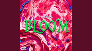 Mad2 Music Video