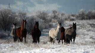 &quot;Fucken Awesome&quot; - Spiderbait (studio version)