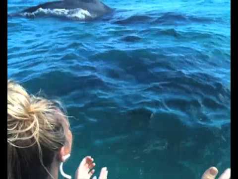 Deya Dova Singing With Whales 2012