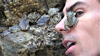 4K. Frog Army Vs Krazy Kids, Come Get Some Nature You Mothers! & Fathers, Sons & Daughters, Free Fun