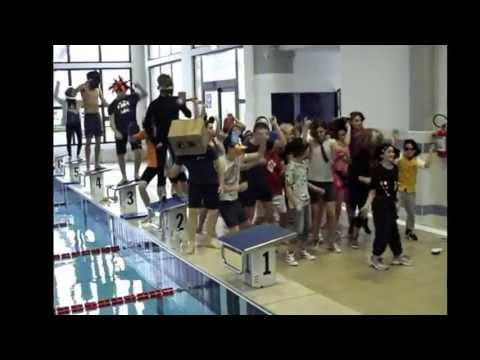 Harlem Shake Aquarium Novi