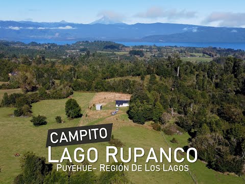 CAMPITO LAGO RUPANCO - PUYEHUE - REGIÓN DE LOS LAGOS