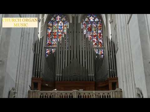 GLORIA IN EXCELSIS DEO