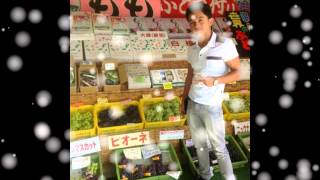 how much - git fresh by&#39;esmeralda alegarbes