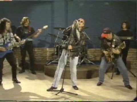 Divlje u srcu - Stihovi od kamena