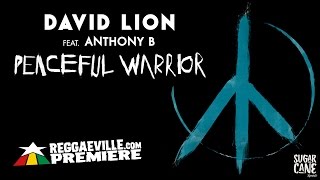 David Lion feat. Anthony B - Peaceful Warrior [Official Audio 2017] #WorldPremiere