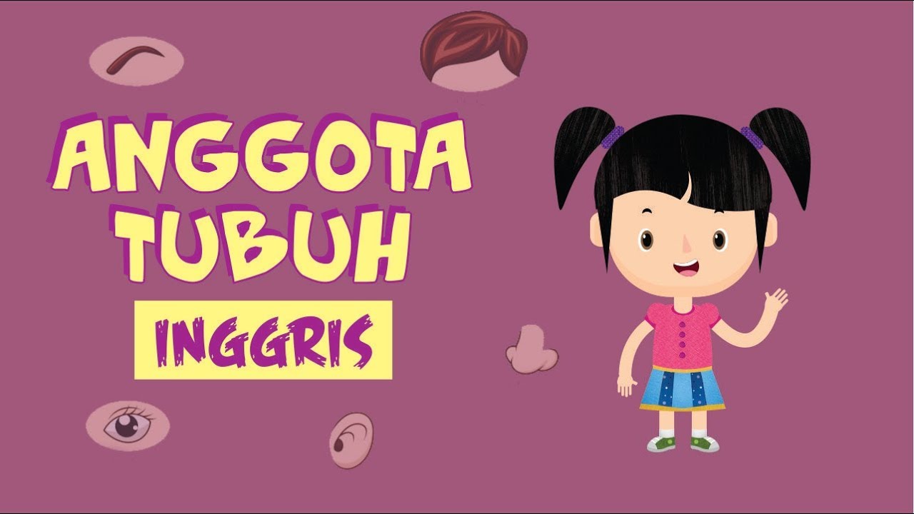 Belajar Namanama Anggota Tubuh dalam Bahasa Inggris