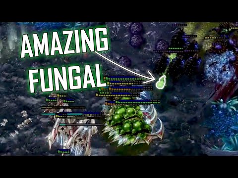 Game ending fights but they get increasingly more clutch