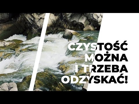 Purity is a state that can and must be regained! | Fr. Dariusz Węgrzyn