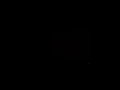 MVI 3056