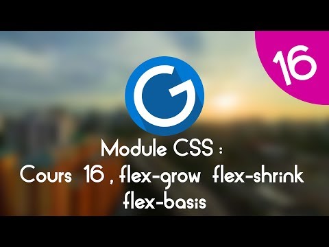 Formation IMM Module CSS Cours tuto 16 flex grow flex shrink et flex basis