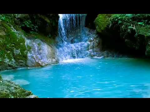 10 Hours - Morning Bird Songs and River Sounds for the Best Start of the Day - Morning River