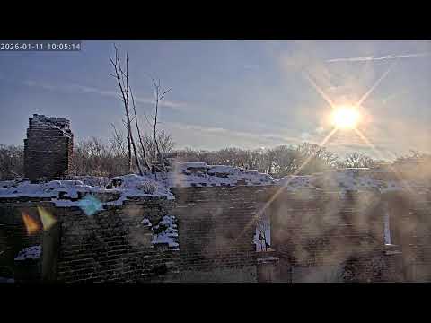 Uhu Webcam 4 – Live-Stream von EGE – Gesellschaft zur Erhaltung der Eulen e.V.