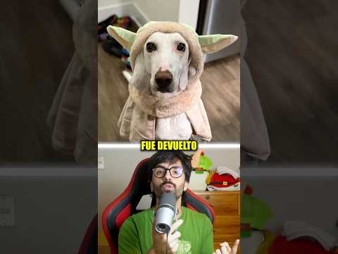 Este perro fue devuelto al refugio 11 veces y la razón es increíble 😱 #sabiasque #curiosidades