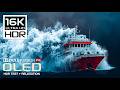 Hard To Believe 16K HDR 120FPS Dolby Vision OLED Nature Test 8K 4K Video TV