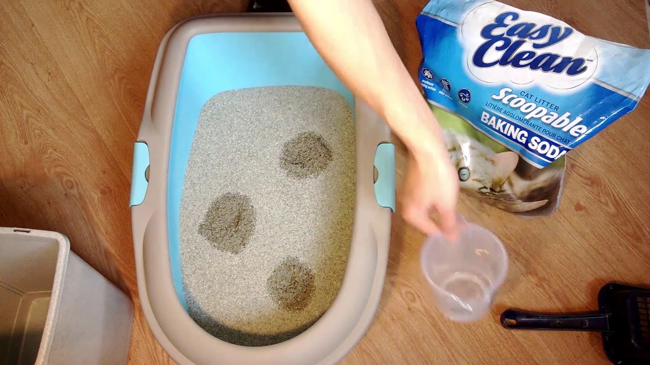 Sprzątanie kociej kuwety może być Easy