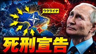 今すぐ見てください…NATOがウクライナのために下した衝撃の一手