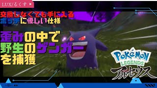 【ポケモンレジェンズ アルセウス】歪みの中のポケモンを捕獲!?【POKEMON REGENDS ARCEUS】