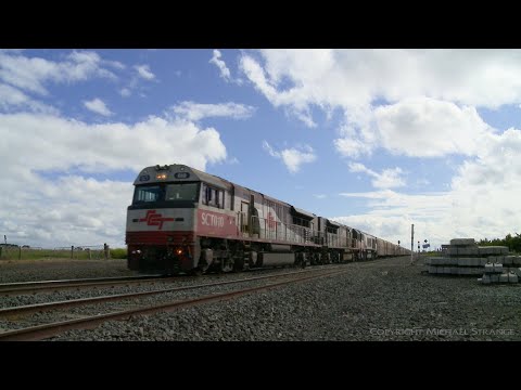 1PM9 SCT Freight Train, 93 Wagons & 1800 Metres Long (23/9/2020) - PoathTV Australian Railways