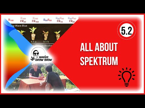 Marios GrowShow Folge 5.2 - Alles über das Lichtspektrum