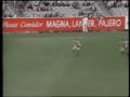 AFL Best Bumps Round 13 16 1994