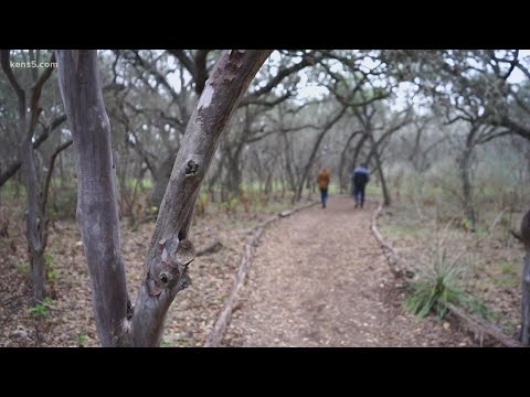 Spending a day at Phil Hardberger Park