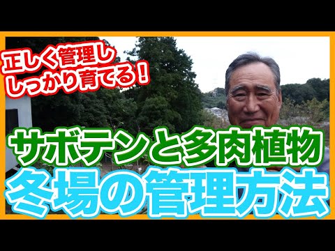クリスマスサボテンのための天然肥料：豊かな開花のための4つの自家製レシピ  庭園