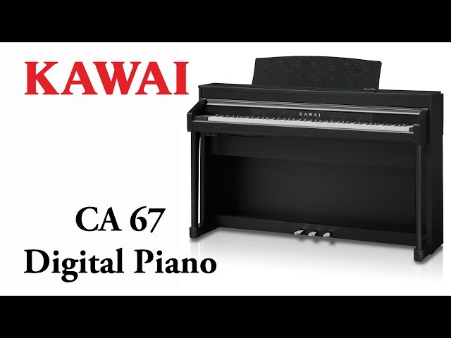 Kawai CA67 B - чёрный