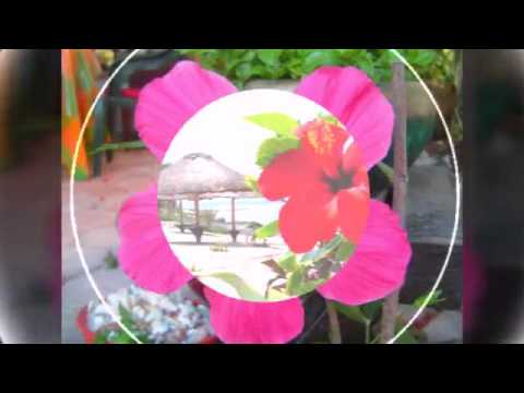 aaya sapno me koei sahjada(DJ jhankar)mp4