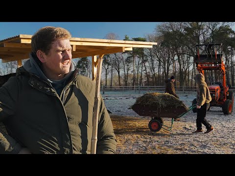 PRAKTIKUM bei der HOF WG