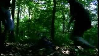 Finntroll - Visor Om Slutet