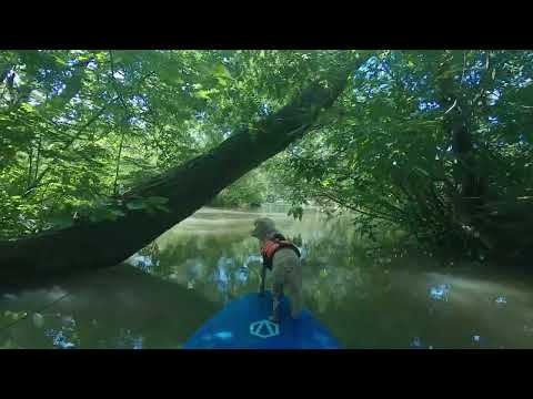 SUP Bázis PILLANATKÉPEK 1. 🎬 - A JÁRŐR 👮‍♀️🐶