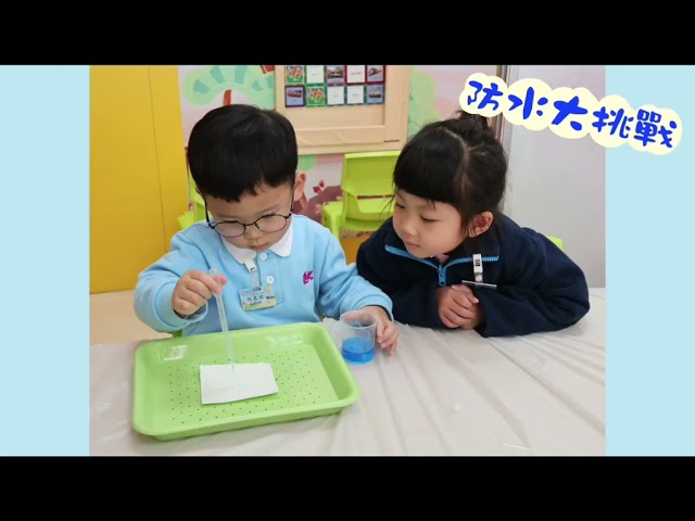 2月專題研習