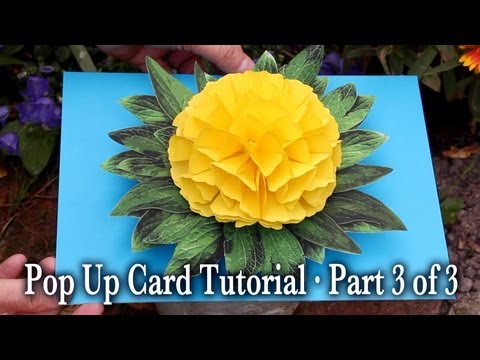 Flower Pop Up Card Tutorial Part 3 of 3