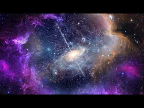 Primosia - Zé Ricardo