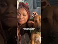 Pit Bull Mom Explains: What Do Dogs Have To Do With Race? | The Dodo
