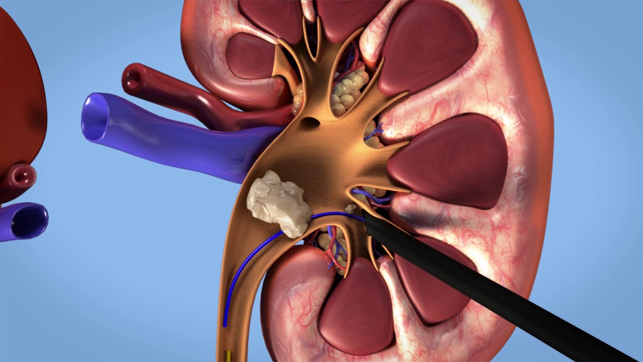 José Aguilar Moreno-10
