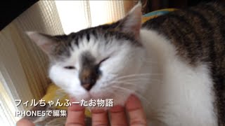 フィルちゃんふーたお物語